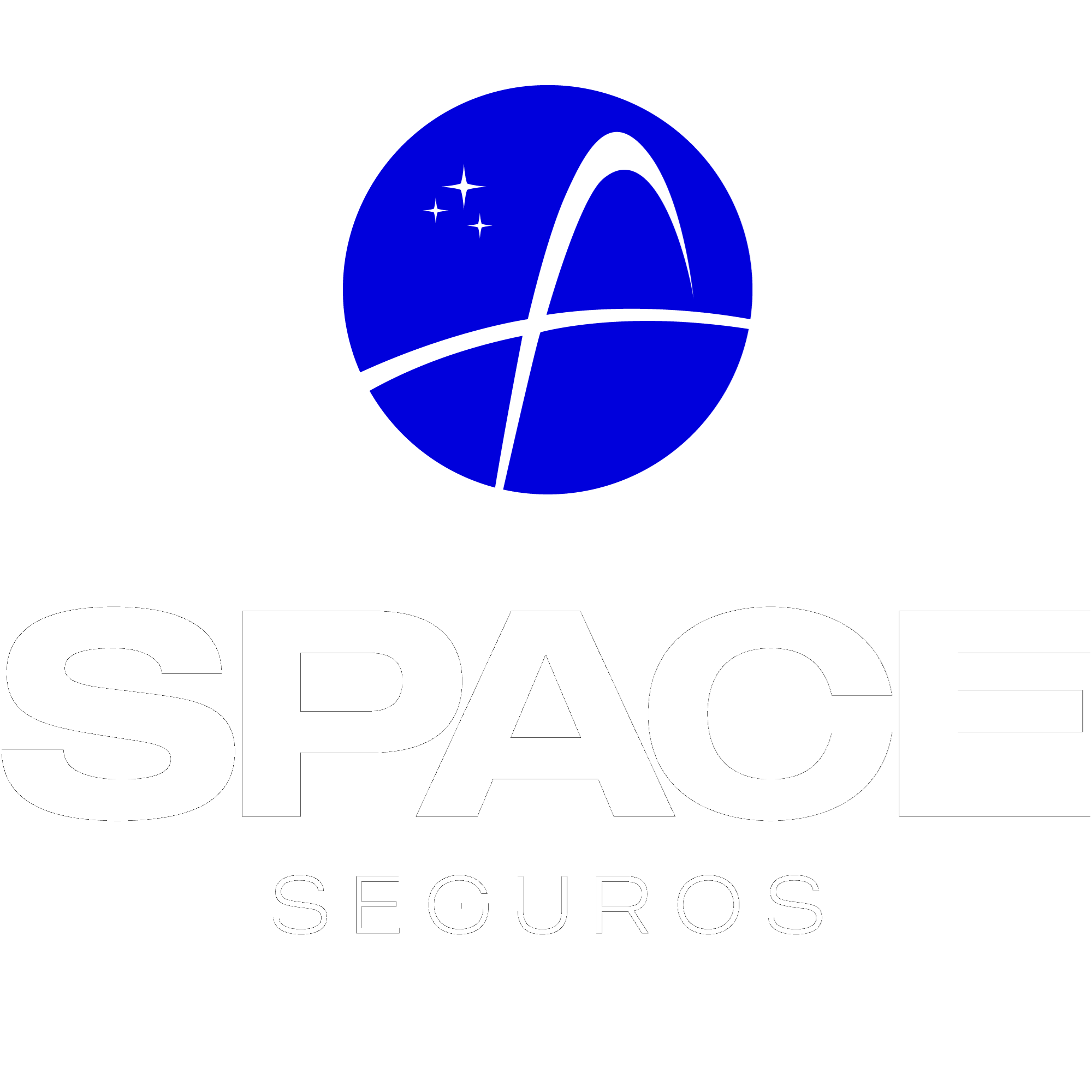 Space Seguros